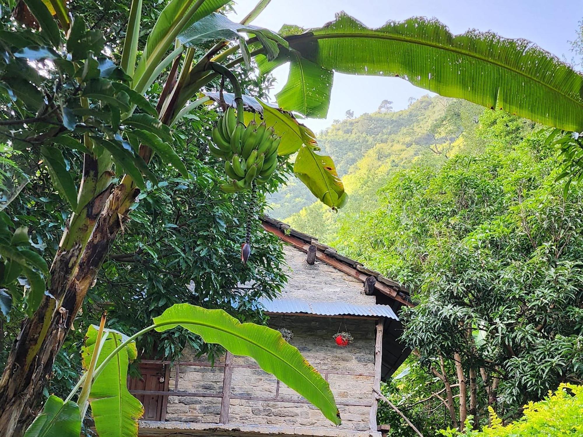 Hobo Huts By The Riverside Panuanaula Bagian luar foto